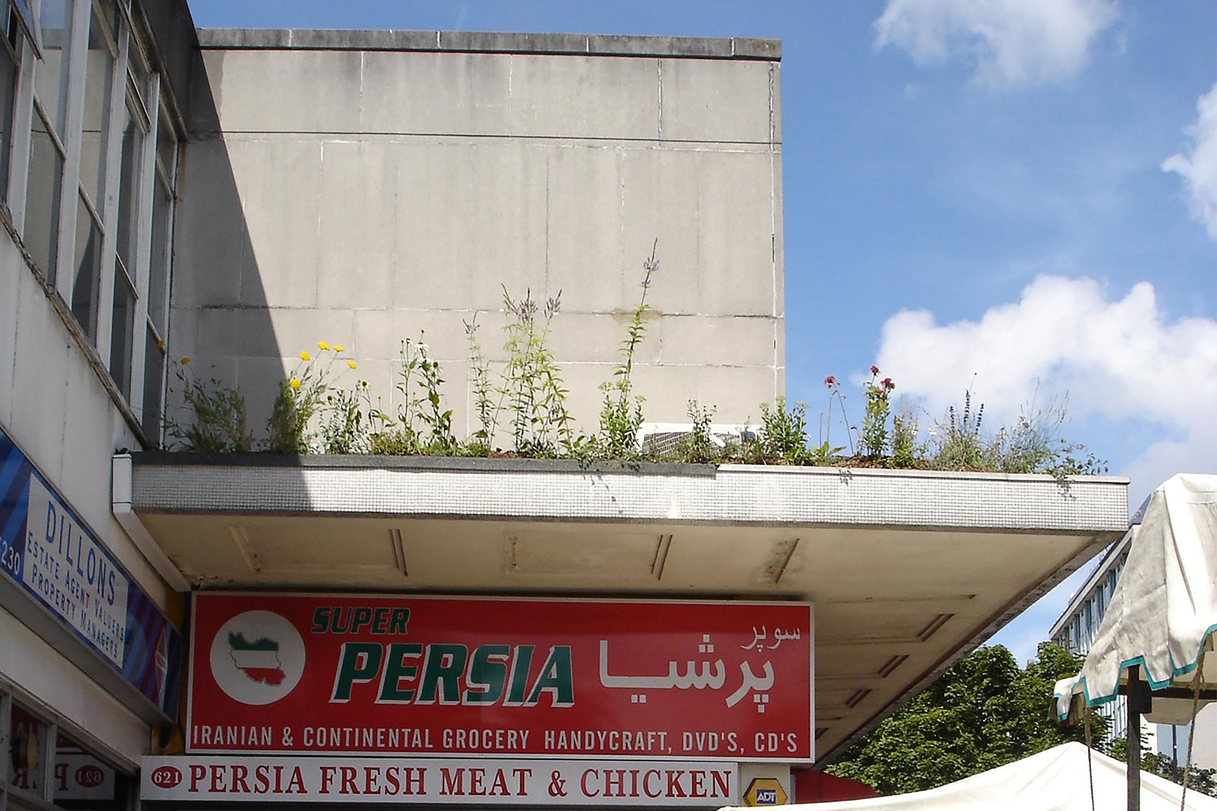 A photograph of an Iranian continental shop, with text that reads 'Super Persia', with the roof covered in green plants.