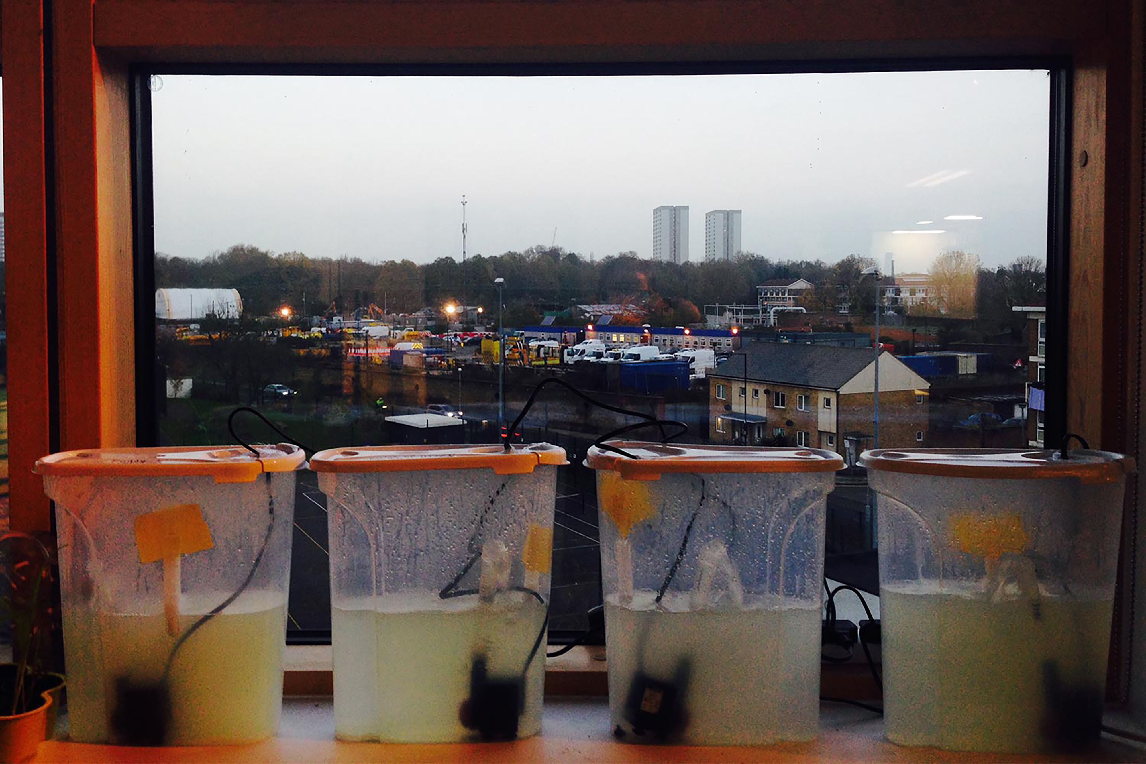 Four tubs of liquid mixture sitting in front of a window displaying a cityscape.