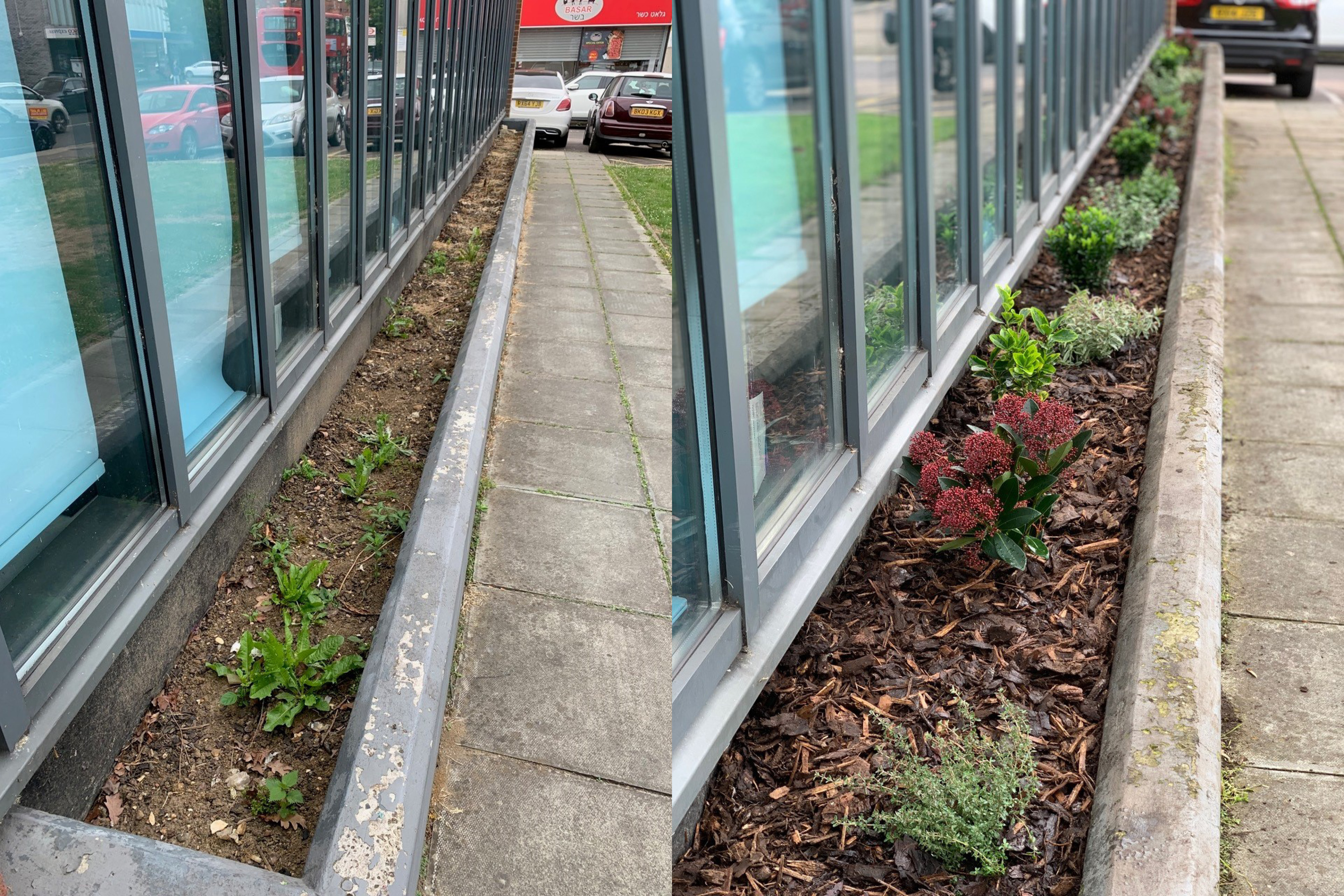 A side-by-side image of a large greenery planter. The left shows fewer plants and is messy. The right shows a full planter with many various colourful plants and soil.