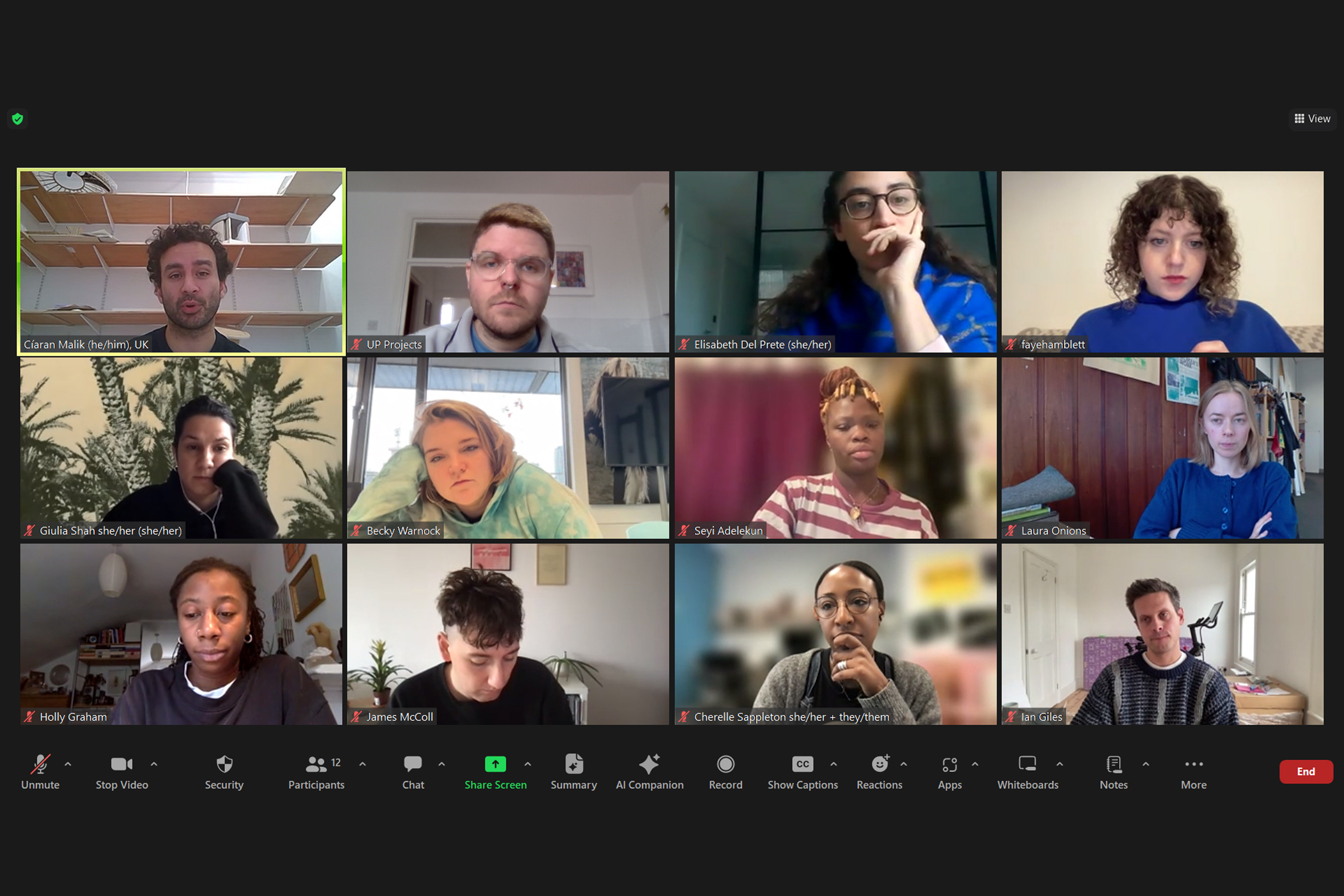 A group of people in a grid format during an online video meeting.