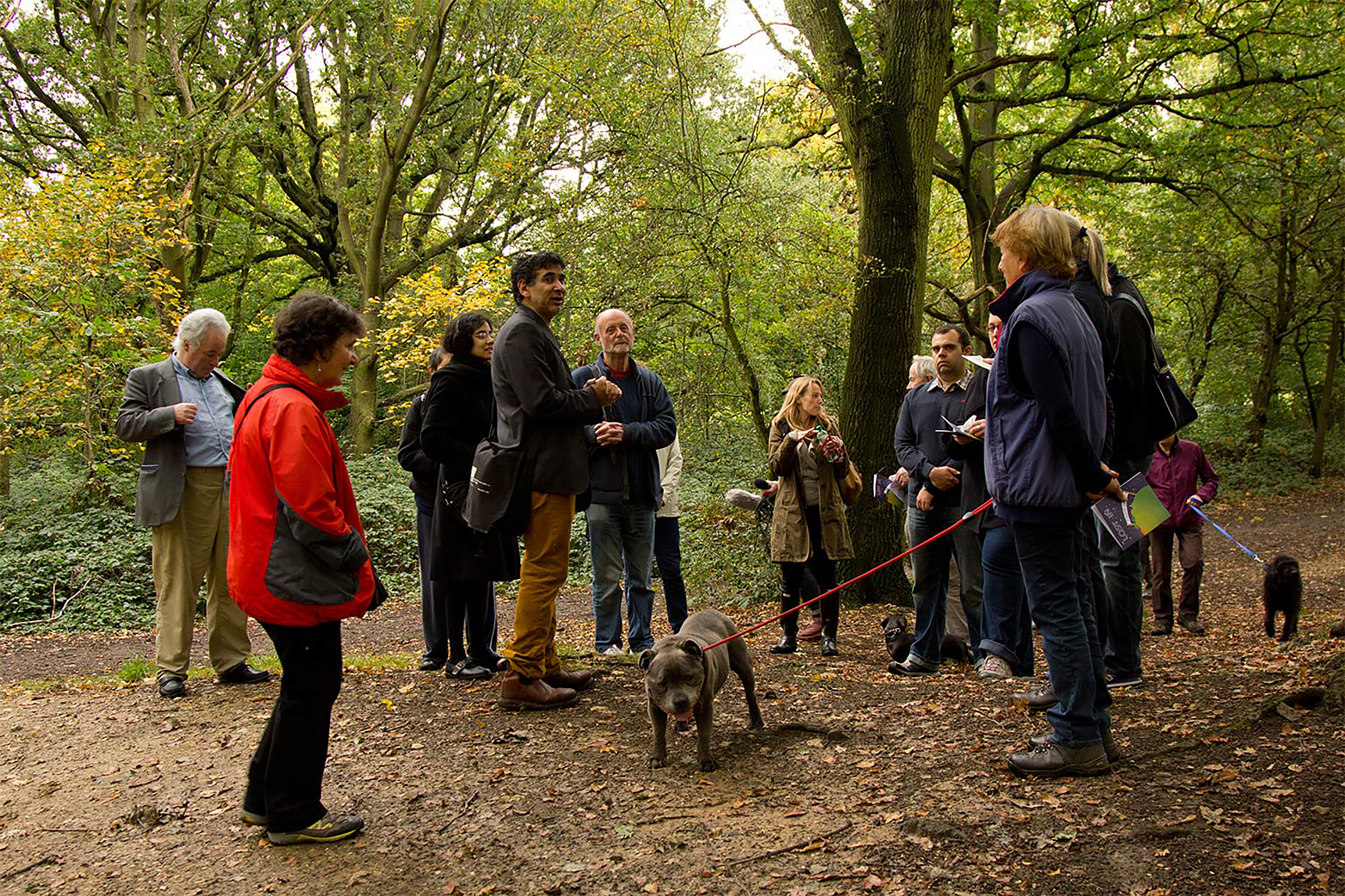 A group of people in a forest standing around, with some with dogs on leashes.