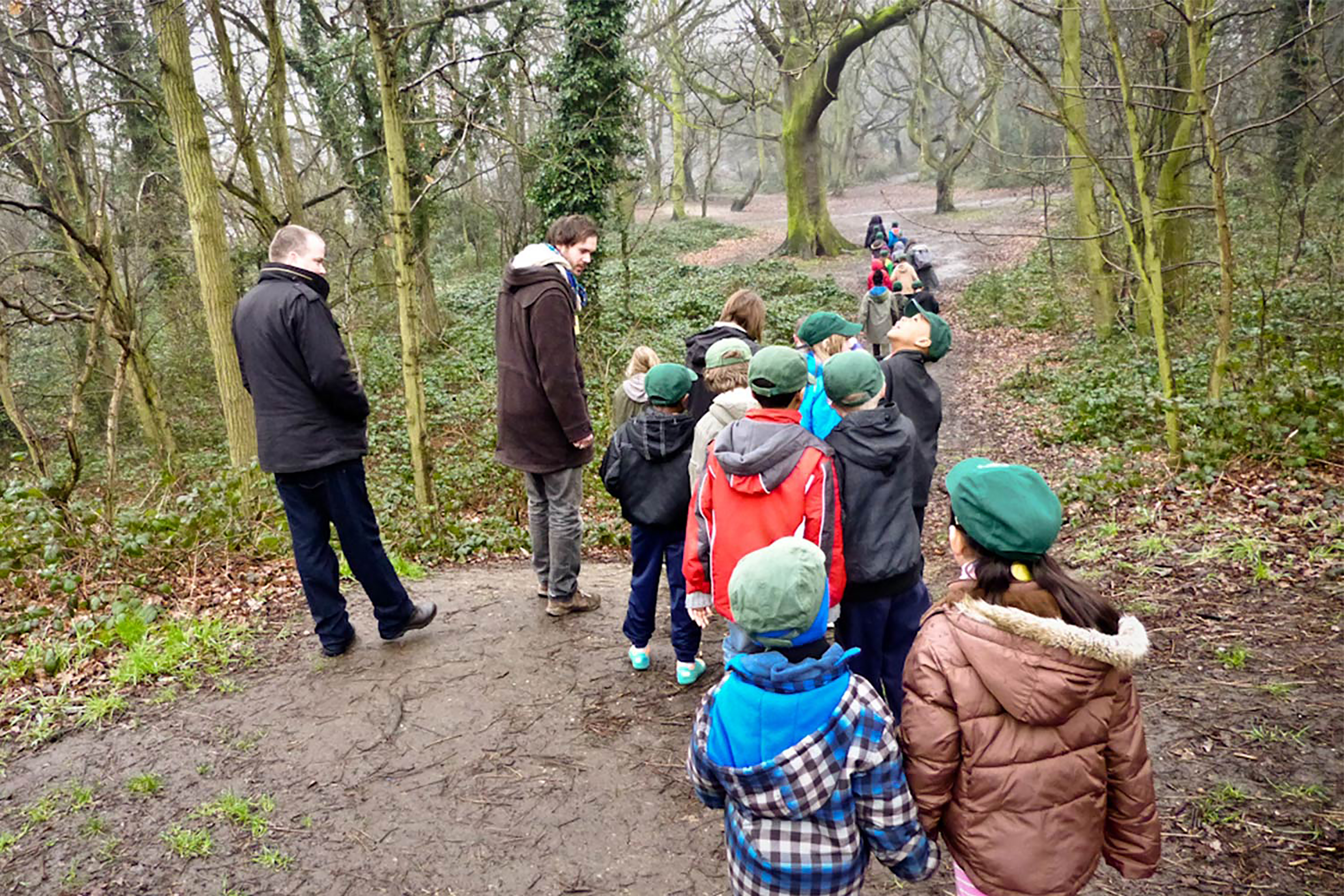A group of people wearing green caps walking in a line in an empty forest.
