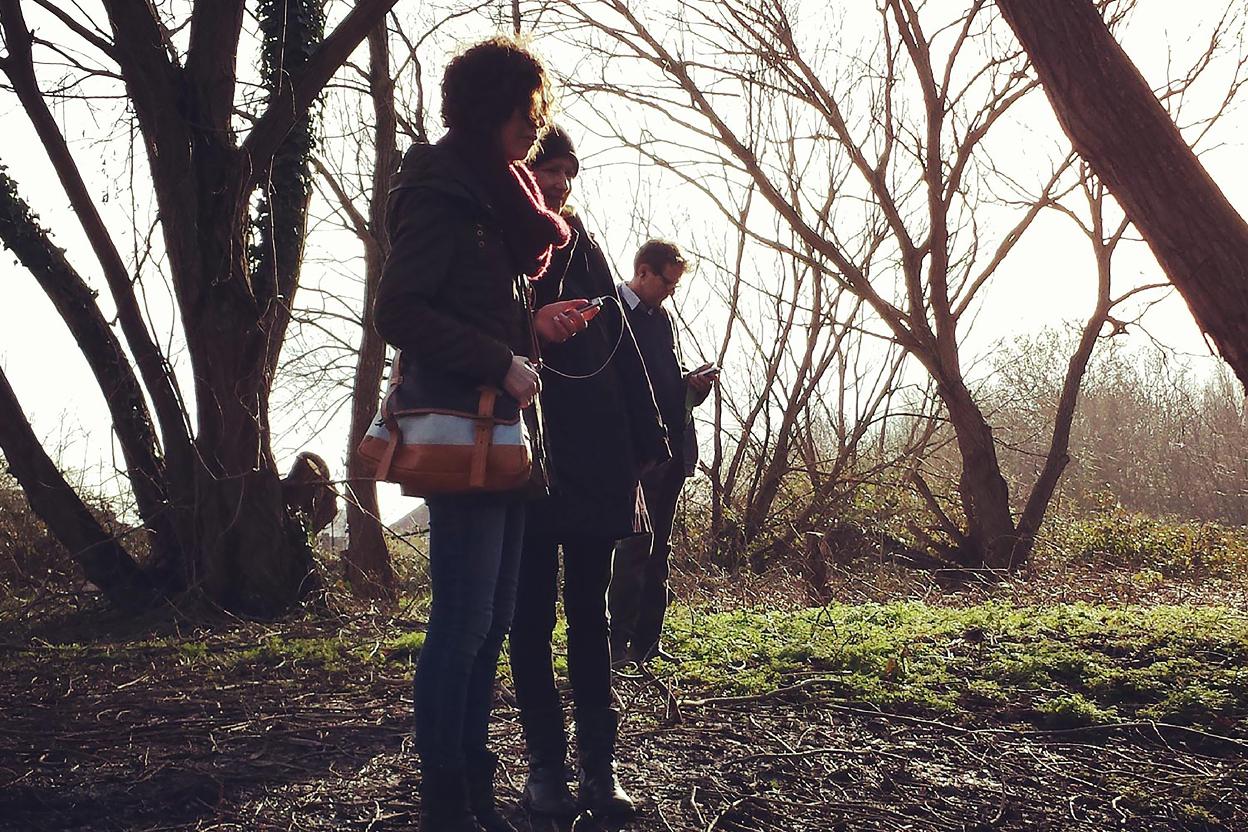A woman holds her phone in a field surrounded by trees.