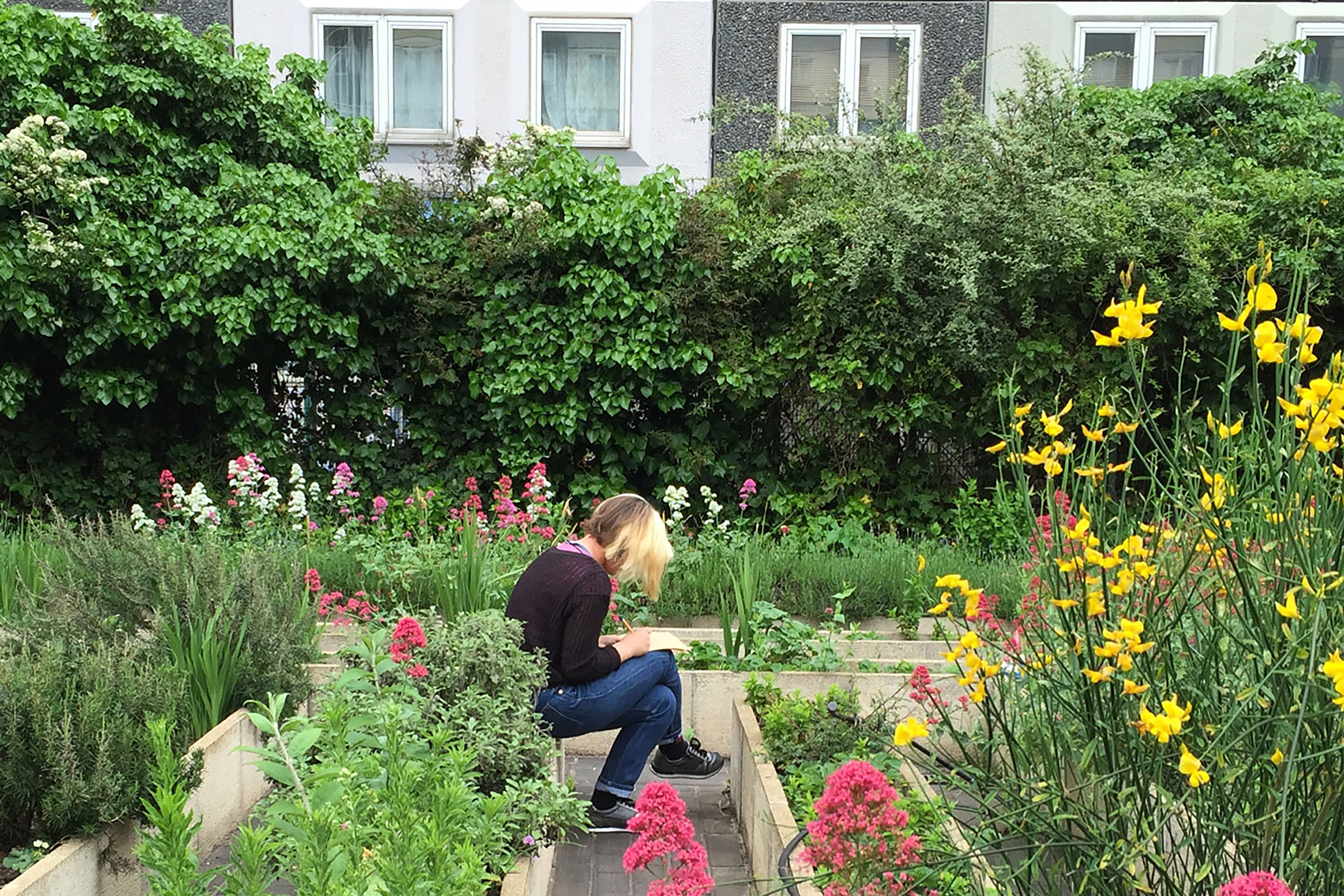 A woman sitting on the edge of a deck planter in a colourful communal neighbourhood garden writing notes in front of housing shrouded by bushes.