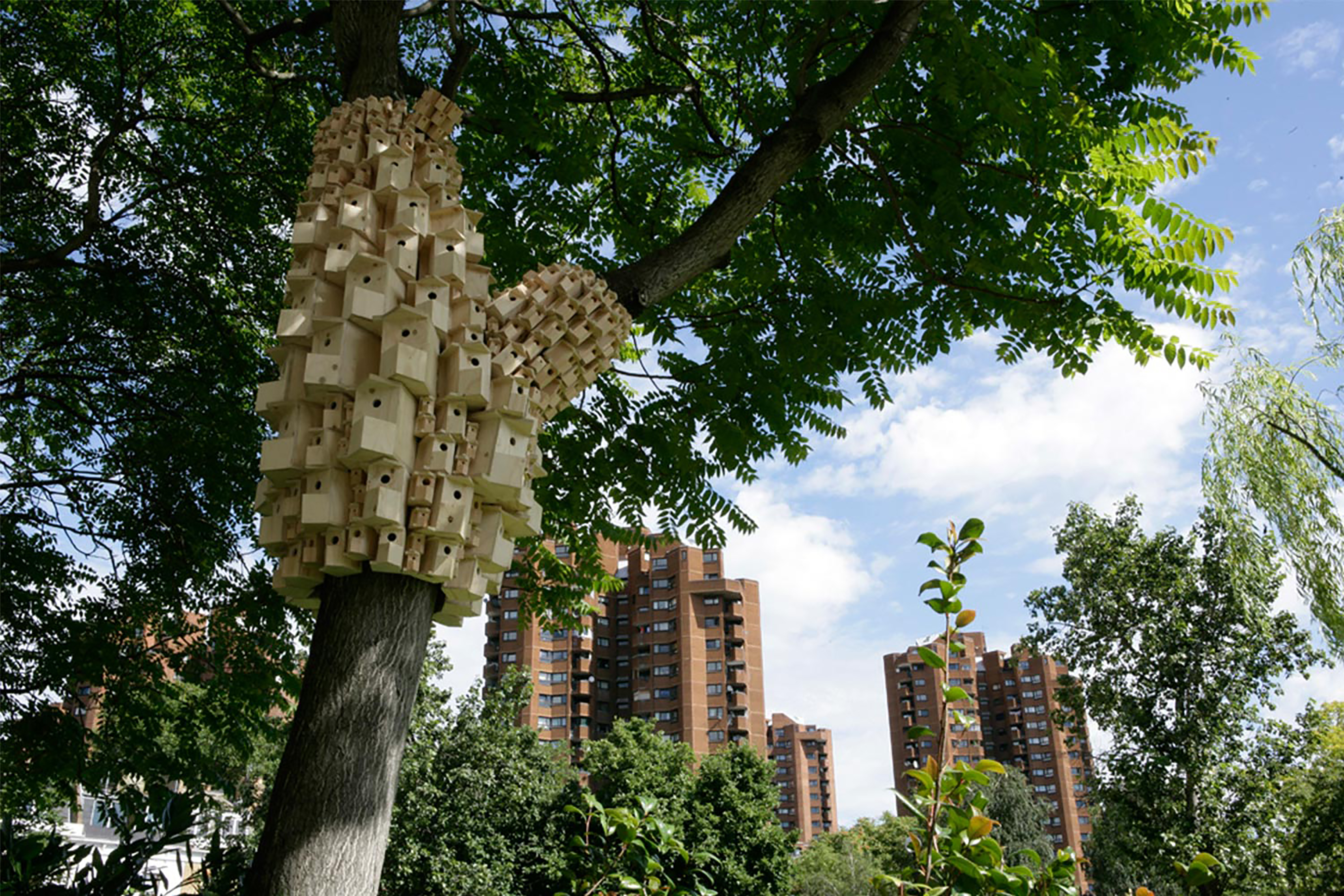 A photograph of a tree covered in wooden bird houses spiralling around the entire circumference of two large branches with two industrial blocks of flats in the background.