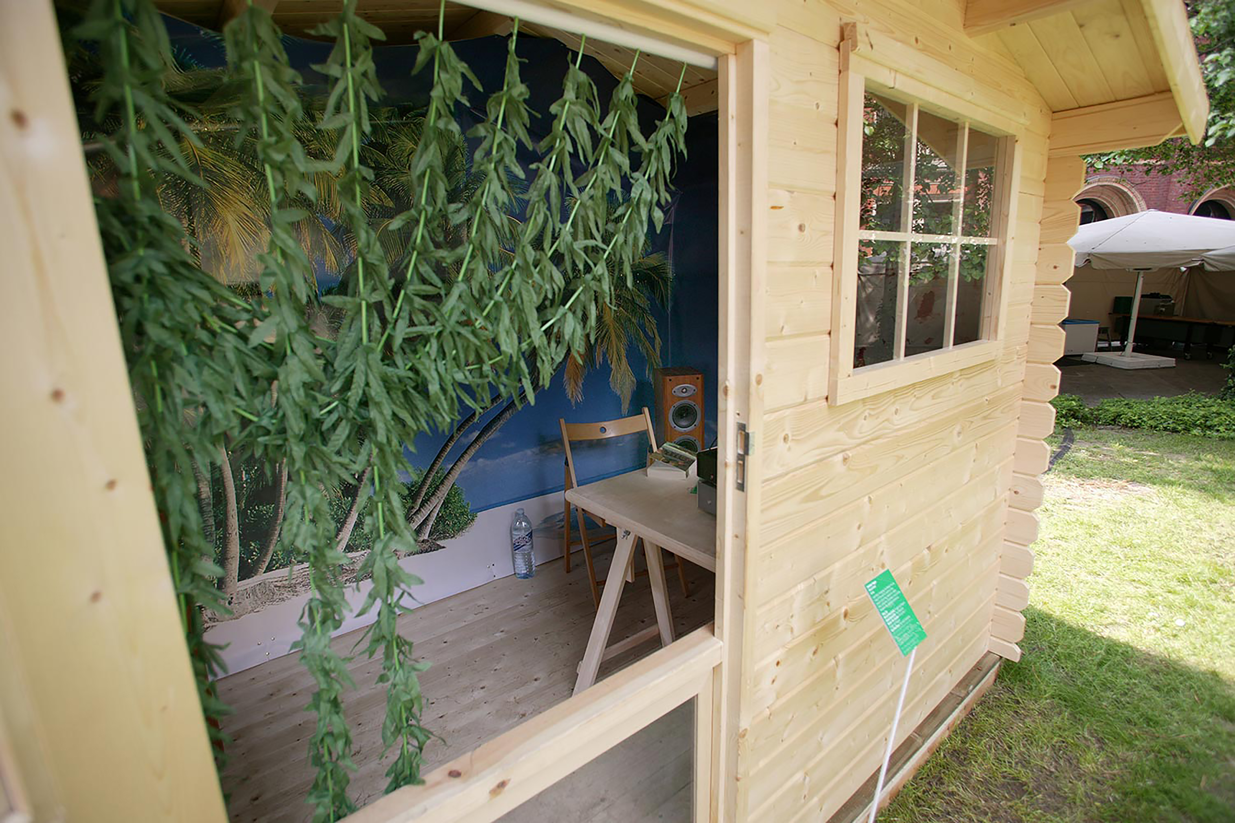 A brown wooden garden shed on a patch of grass, with a large leafy plant hanging down from the door, and a wooden tables and chairs inside.