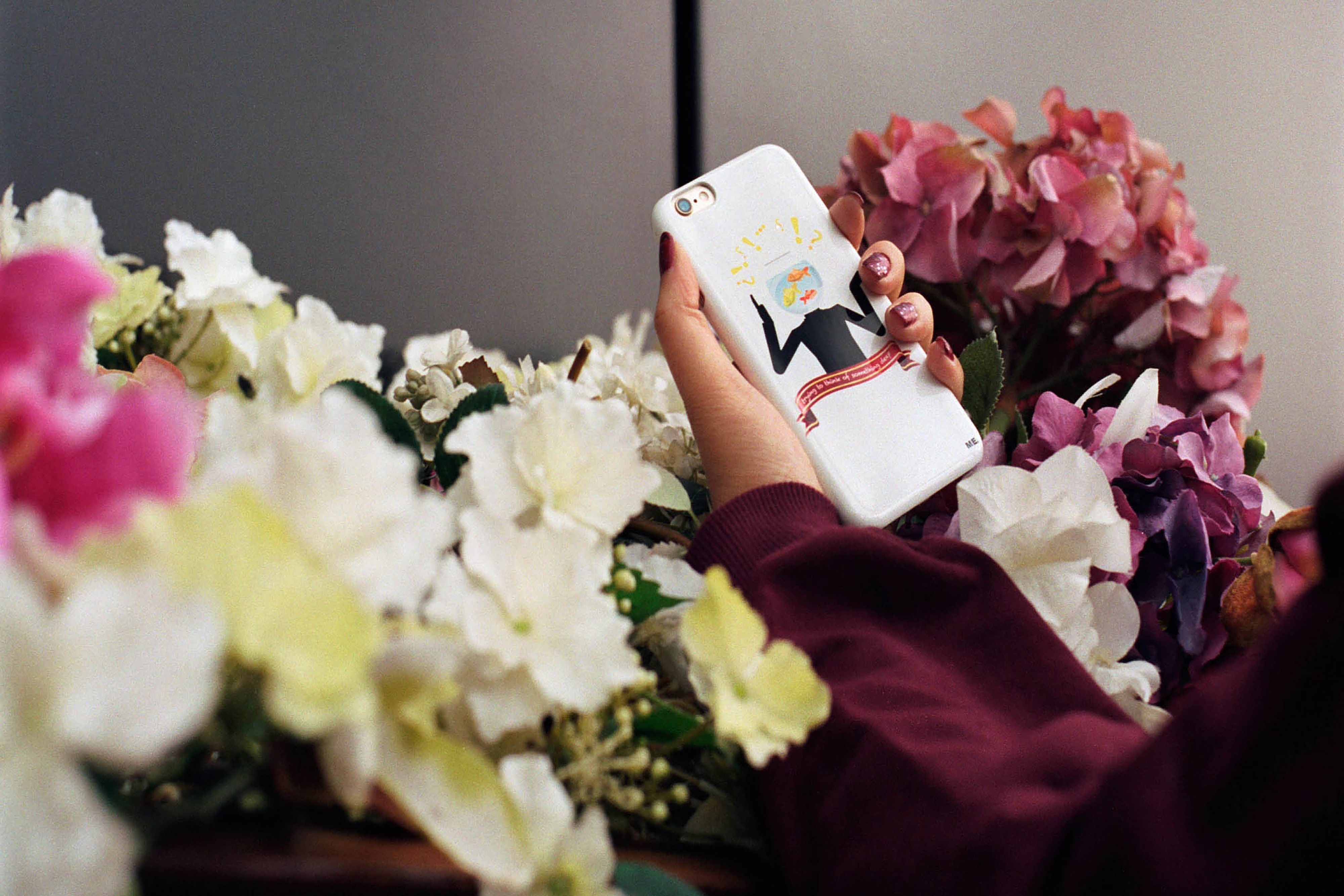 A close-up image of a person holding a white mobile phone next to an array of colourful white, pink and purple plants.